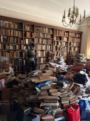 Ein chaotischer Raum voller Bücherstapel und einem Bücherregal im Hintergrund.